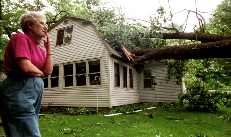fallen tree home Insurance Coverage