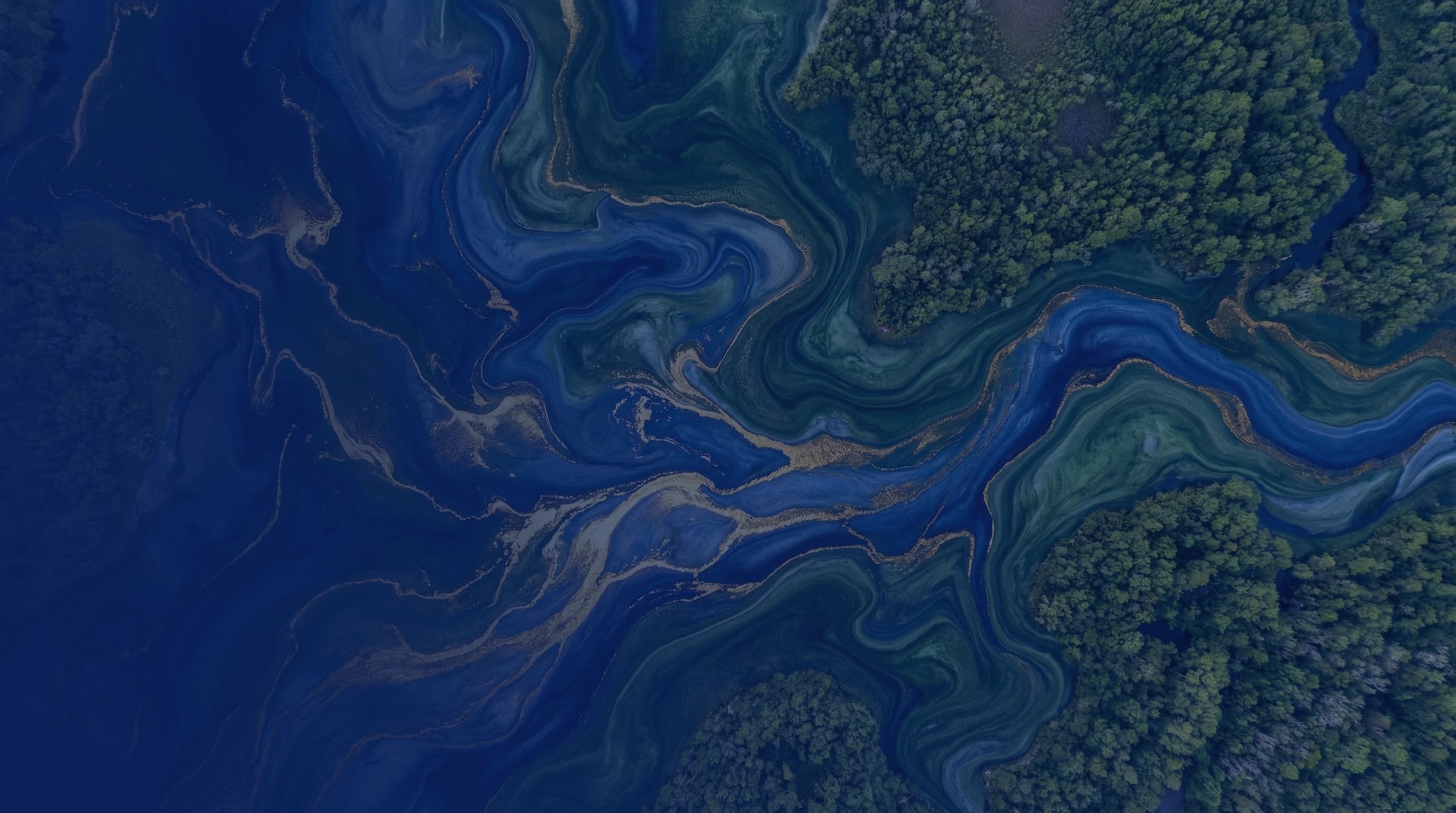 Rare Abstract Artwork by renowned NFT artist depicting lush Florda trees and waterways