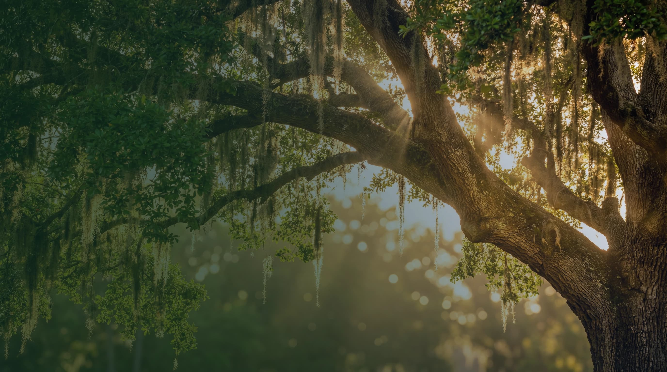 Family relaxing on their front porch in Florida