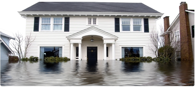 Florida Flood Insurance policies fl